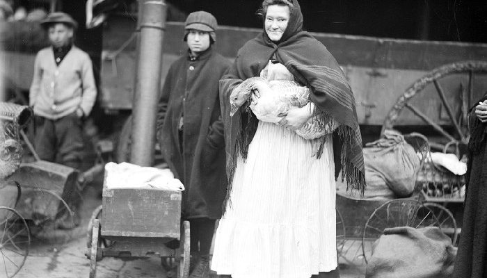 Woman wearing large apron holding a goose in her arms stands with two boys, November 8, 1912